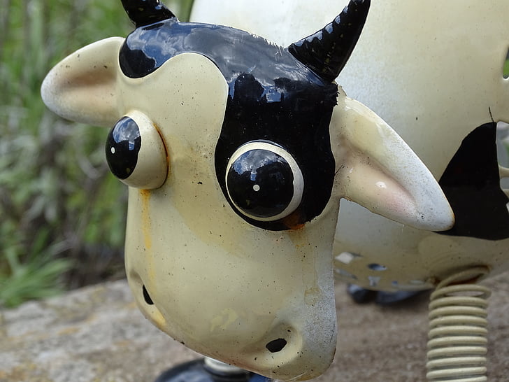 cow, cattle, ornamental