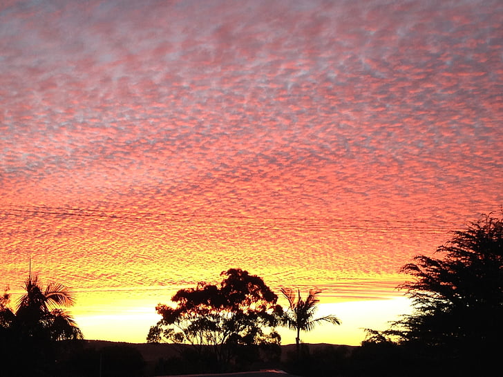 coucher de soleil, Shelly beach, Nouvelle-Galles du Sud, ciel du soir, ciel orange, coucher de soleil ciel, nature