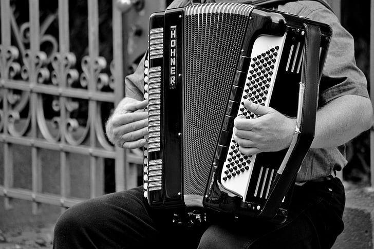 accordion, black-and-white, entertainment, hands, music, musician, performance