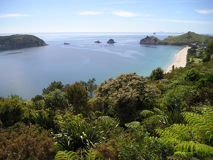 gražus paplūdimys, Naujoji Zelandija, paplūdimys, pakrantė, South island