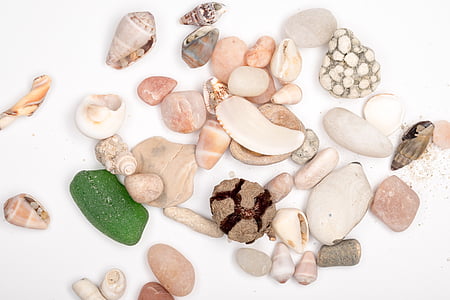 kamenje, morskim kamenjem, more, ljuska, morskim pijeskom, morsko dno