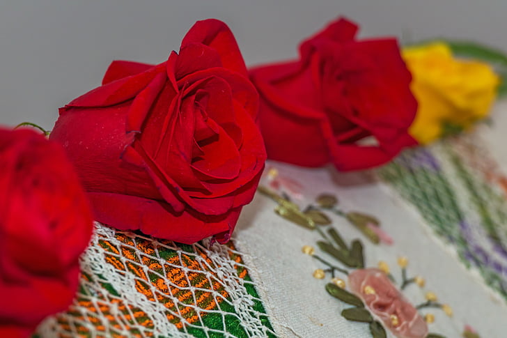 Rose, rdečo vrtnico, cvet, dekoracija