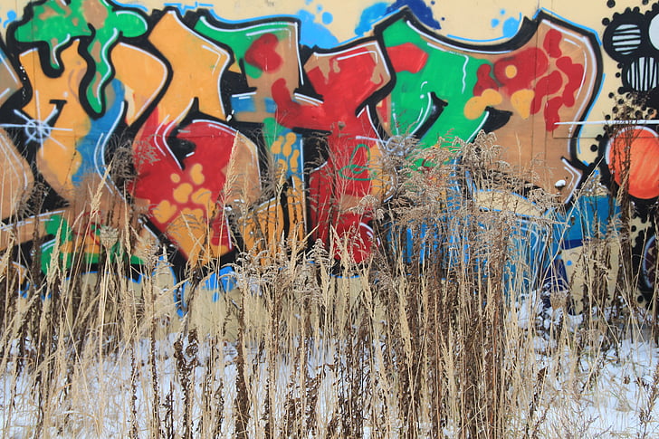 Graffiti, gatukonst, konst, väggen, blommor, vinter, färgglada