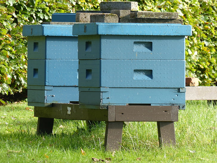 Bienenstöcke, Holz, Farbe, Rasen, Sommer, Sträuchern, Bienenstock
