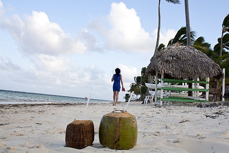 Punta, Cana, Caraibe, nucă de cocos, femeie, fată, tropicale