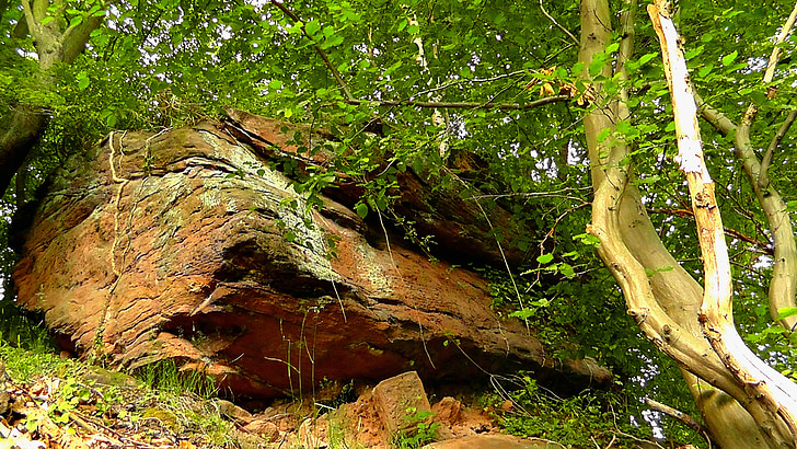 Rock, järsk, kivi, loodus, Pfalzi, keldritest, liiv kivi