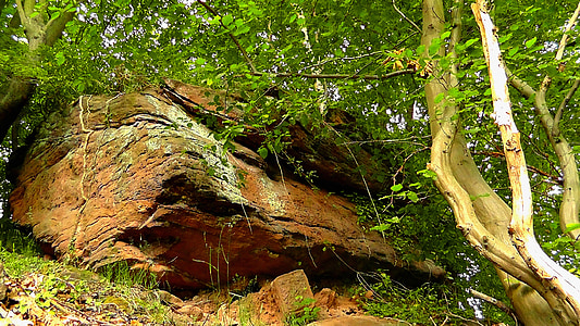 Roca, costeruts, pedra, natura, Palatinat, roques de gres, sorra pedra