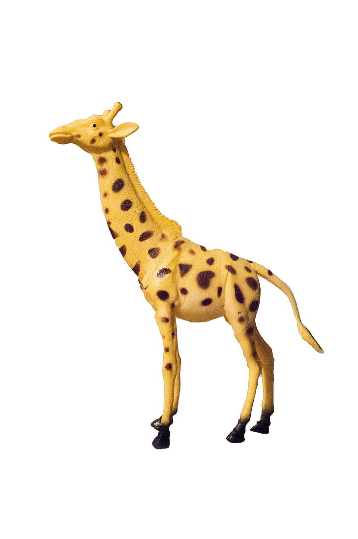 speelgoed, dier, kinderen, Giraffe, giraffen, speelgoed, harde speelgoed