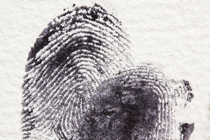 fingerprint, daktylogramm, papillary, fingertip, finger berry, contact, crime