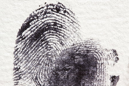 指纹, daktylogramm, 乳, 指尖, 手指莓果, 联系人, 犯罪