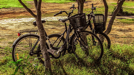 bicicletes, natura, tardor, bicicleta, oci, esport, l'activitat