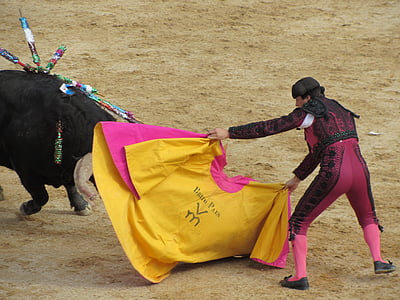 Bull borbe, budemo matador, Portugal, toreadora