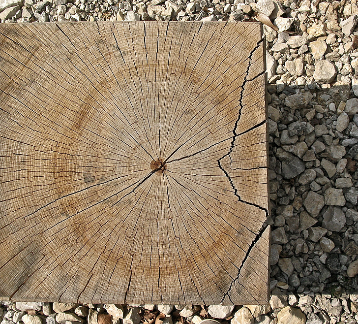 tahunan cincin, kayu, menggergaji, log, seperti, Square, retak