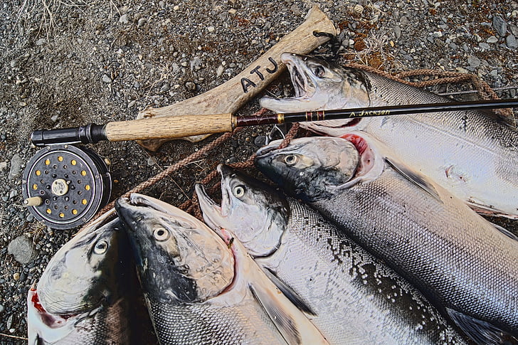 lax, Alaska, fiske, fisk, Alaskan, flugfiske, Reel