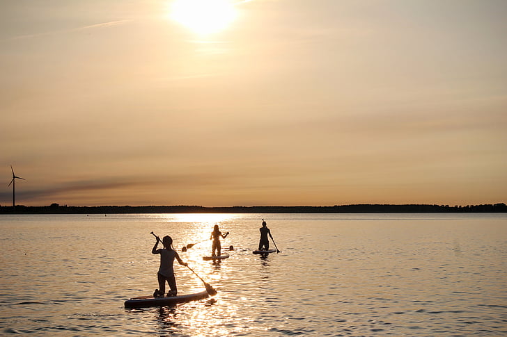 stand up paddle, tramonto, acqua, Paddle, sole, sagoma, luce del sole