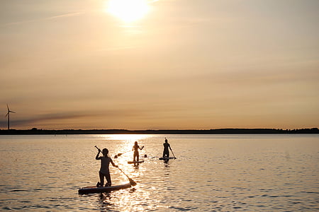 stand up paddle, sunset, water, paddle, sun, silhouette, sunlight