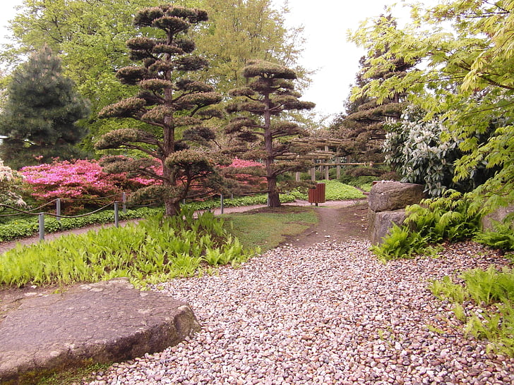 Ιαπωνικά Κήπος, Κήπος, μακριά, εφαρμόζεται, Πάρκο