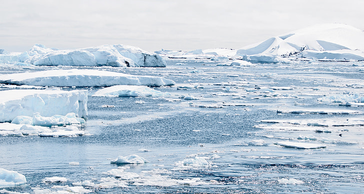 Antártida, hielo, tapas de, montañas, Pingüino de, ICE bergs, Hemisferio Sur