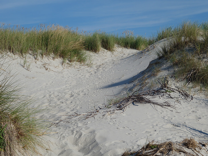 dunes de sable, dune, sable, herbe de dune, Côte, mer Baltique, mer du Nord