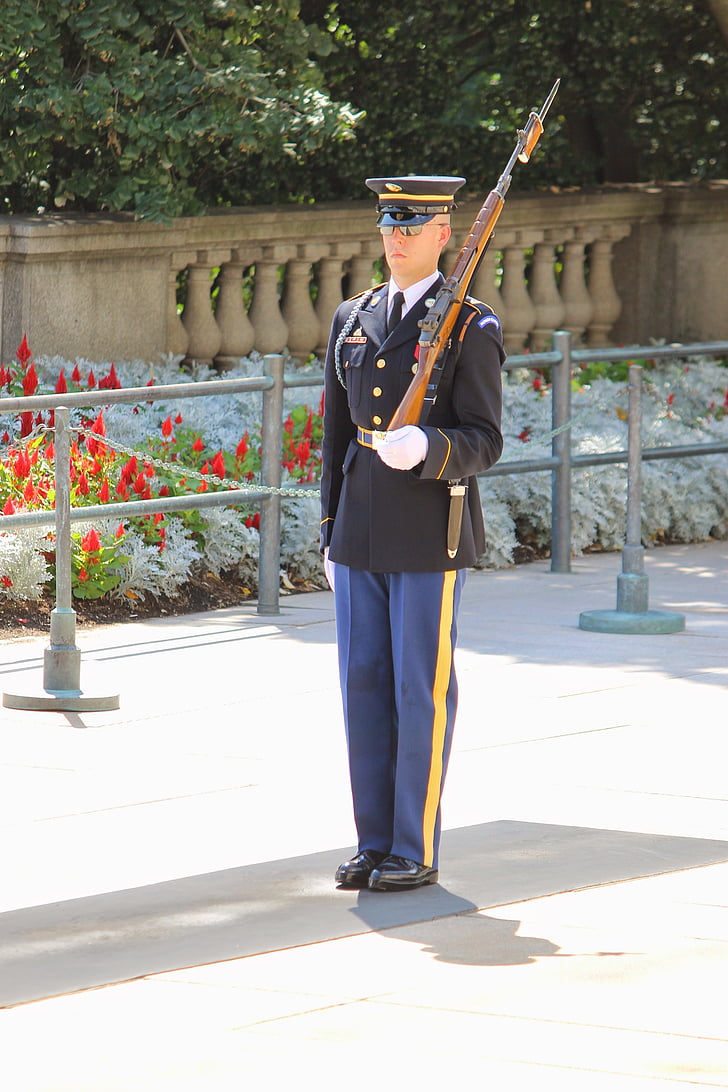 Arlington, kirkegården, vakt, endre, ære, militære, soldat