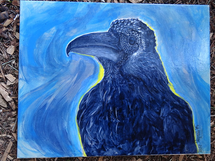 raven, crow, bird, feathers, painting, acrylic