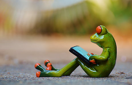 frog, computer, relaxed, figure, funny, rest, relaxation