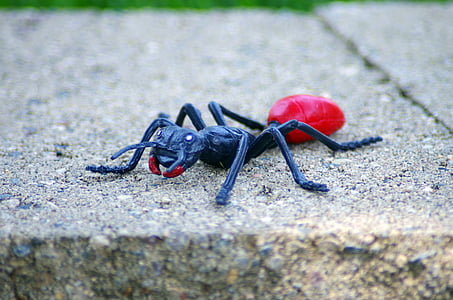 ant, zomer, speelgoed, insect, bug, schattig, grappig