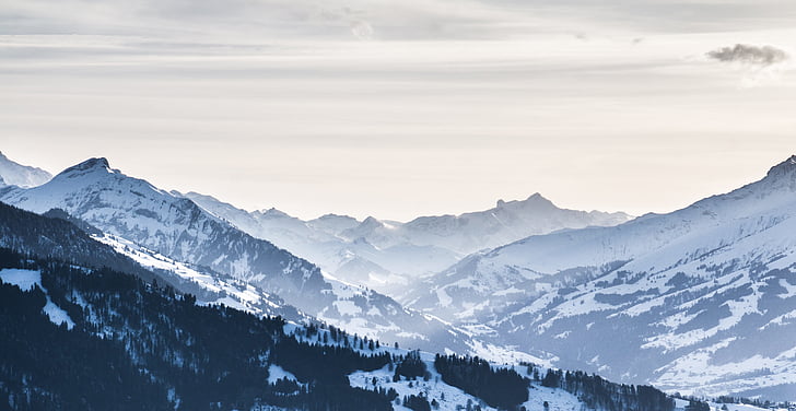 Beatenberg, montagne, Oberland bernois, Suisse, Rock, alpin, Niederhorn