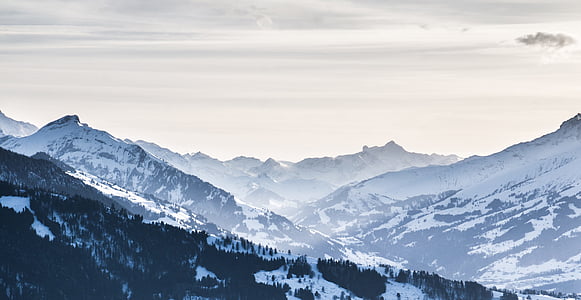 beatenberg, kalns, Bernese oberland, Šveice, klints, Alpu, niederhorn