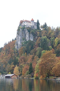 Slovēnija, pils, asiņoja, ezers, Eiropa, koks, daba