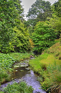 floden, Creek, vand, natur, landskab, grøn, skov