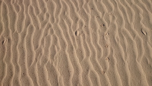 砂, フォーム, 風景, 自然, 静かです, 砂漠, 砂丘