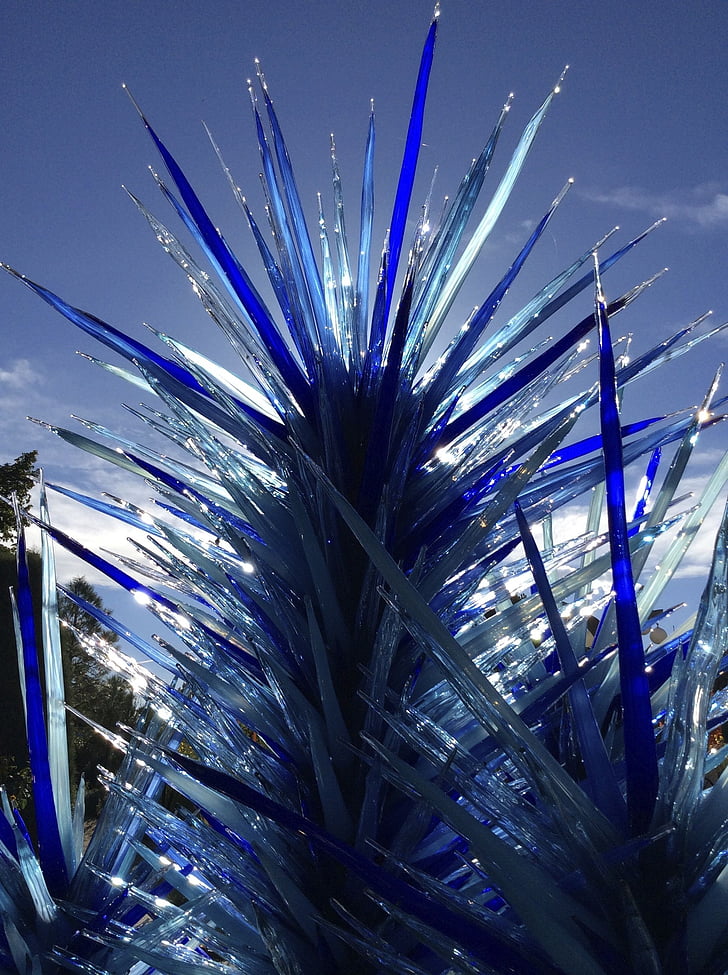 Chihuly, jardins botànics, Denver, artista, vidre, botànic, blau