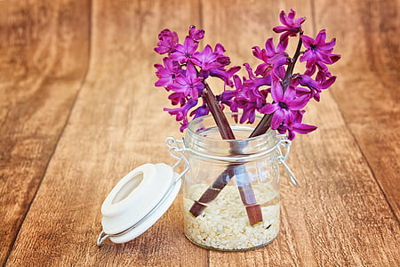 flowers, clear, plastic, bottle, wood, Hyacinth, Pink