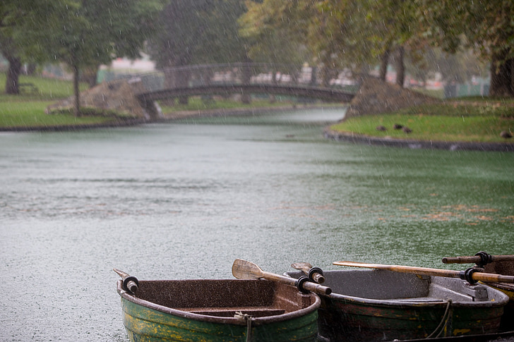 row boats, rainy day, rain, rain drops, park, bridge, green