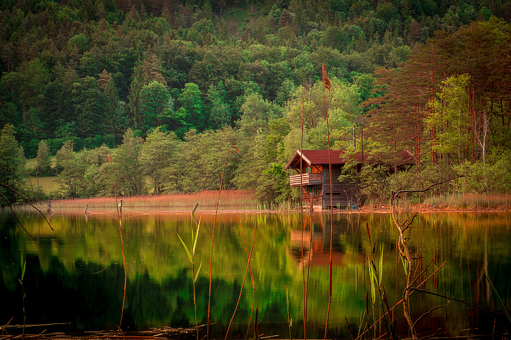 Les, jezero, hory, stromy, krajina, Příroda, léto
