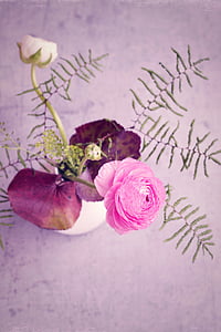 kukka, Ranunculus, vaaleanpunainen, Blossom, Bloom, vaaleanpunainen kukka, pinkki ranunkel