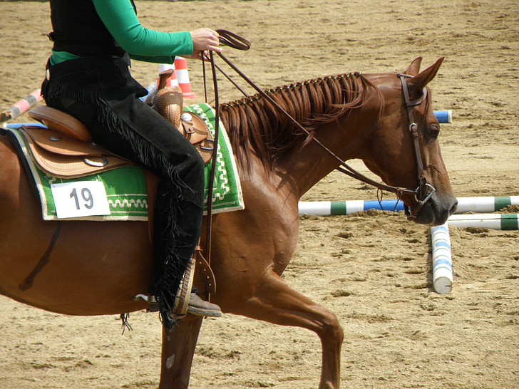 hest, Rider, løp, stående, vestlige, konkurranse, sete