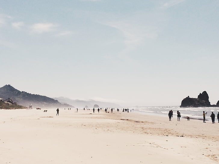 grupa, ljudi, šetnje, plaža, preko dana, krajolik, more
