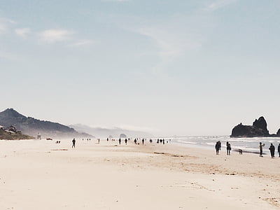 grup, oameni, plimbându-vă, plajă, în timpul zilei, peisaj, mare