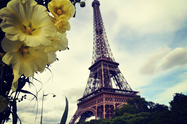 Paris, Frankreich, Turm, Reisen, Blume, Liebe, touristische Attraktion