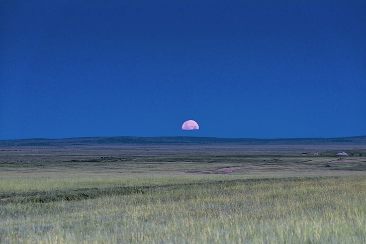 paisatge, Mongòlia, planes, horitzó, per març, Prat, Pao