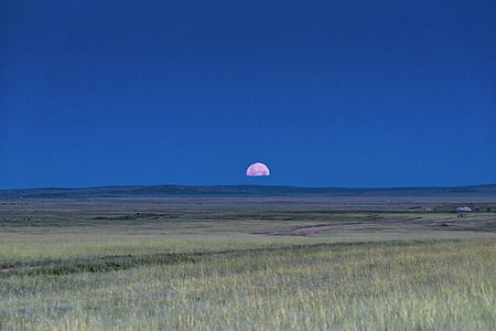 táj, Mongólia, síkságok, Horizon, március, rét, Pao
