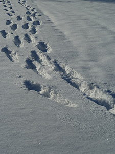 sneeuw, sporen, winter, sneeuw lane, winterse, Trace, sporen in de sneeuw