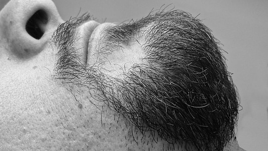 beard, face, lengthen, black, black and white, white, details