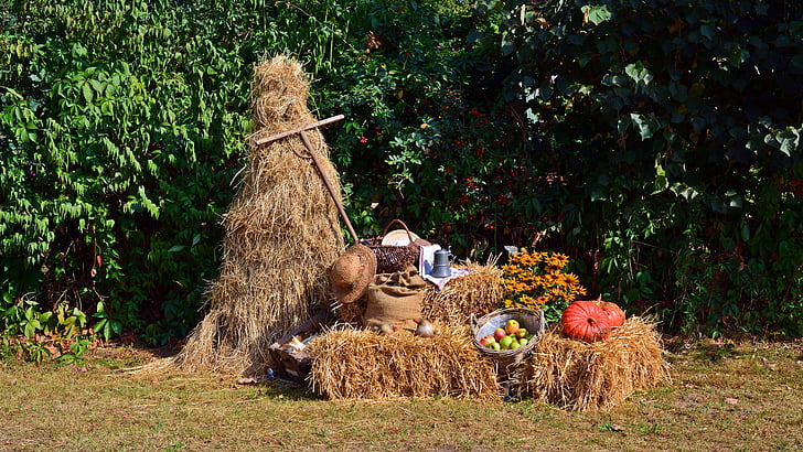 oogst, oogstfeest, Thanksgiving, decoratie, herfst decoratie, herfst, natuur