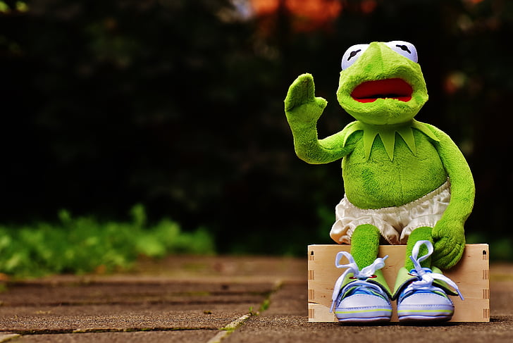 Kermit, sjediti, banke, tenisice, hlače, žaba, smiješno