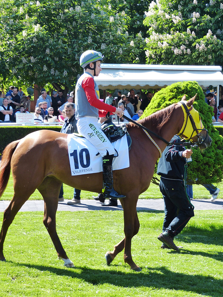 horse racing, gallop, sport, competition, istanbul, turkey, ride