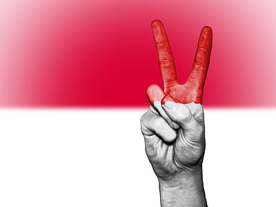 Monaco, pace, mano, nazione, Priorità bassa, banner, colori