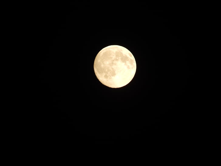 Lluna, blanc, negre, nit, l'astronomia, Lluna plena, superfície de la lluna